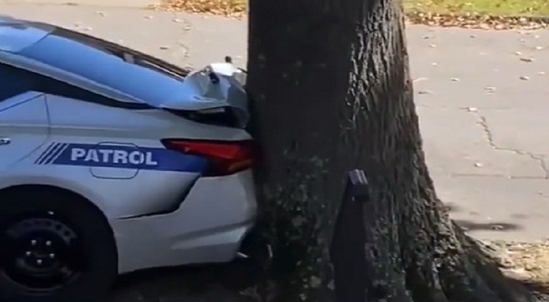 Woman steals police car and crashes into tree after avoiding arrest