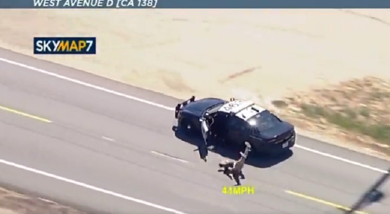Man takes police car on high speed chase and jumps out of it